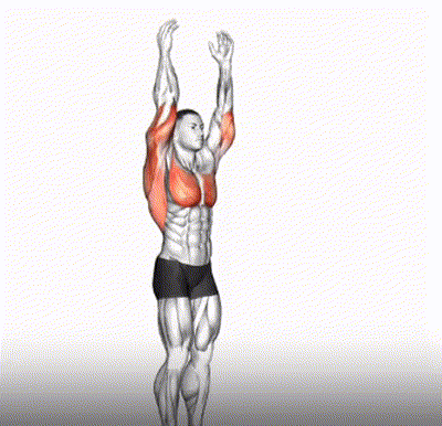 Extension position fléchie